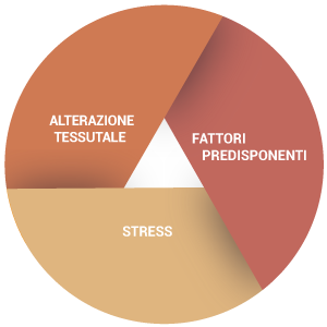 diagnosi e terapia delle disfunzioni cranio mandibolari posturali